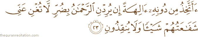 أَأَتَّخِذُ مِنْ دُونِهِ آلِهَةً إِنْ يُرِدْنِ الرَّحْمَٰنُ بِضُرٍّ لَا تُغْنِ عَنِّي شَفَاعَتُهُمْ شَيْئًا وَلَا يُنْقِذُونِ