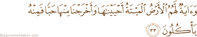 وَآيَةٌ لَهُمُ الْأَرْضُ الْمَيْتَةُ أَحْيَيْنَاهَا وَأَخْرَجْنَا مِنْهَا حَبًّا فَمِنْهُ يَأْكُلُونَ