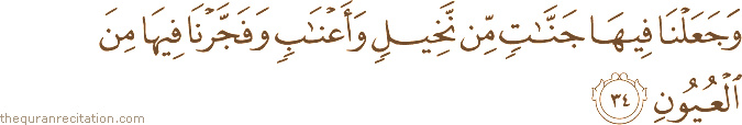 وَجَعَلْنَا فِيهَا جَنَّاتٍ مِنْ نَخِيلٍ وَأَعْنَابٍ وَفَجَّرْنَا فِيهَا مِنَ الْعُيُونِ