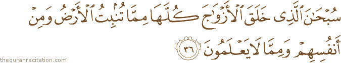 سُبْحَانَ الَّذِي خَلَقَ الْأَزْوَاجَ كُلَّهَا مِمَّا تُنْبِتُ الْأَرْضُ وَمِنْ أَنْفُسِهِمْ وَمِمَّا لَا يَعْلَمُونَ