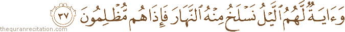 وَآيَةٌ لَهُمُ اللَّيْلُ نَسْلَخُ مِنْهُ النَّهَارَ فَإِذَا هُمْ مُظْلِمُونَ