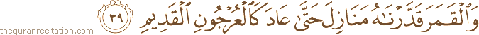 وَالْقَمَرَ قَدَّرْنَاهُ مَنَازِلَ حَتَّىٰ عَادَ كَالْعُرْجُونِ الْقَدِيمِ