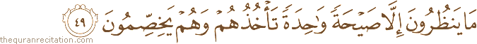 مَا يَنْظُرُونَ إِلَّا صَيْحَةً وَاحِدَةً تَأْخُذُهُمْ وَهُمْ يَخِصِّمُونَ