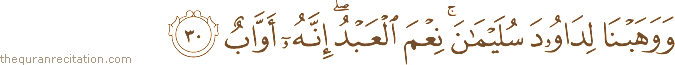وَوَهَبْنَا لِدَاوُودَ سُلَيْمَانَ ۚ نِعْمَ الْعَبْدُ ۖ إِنَّهُ أَوَّابٌ