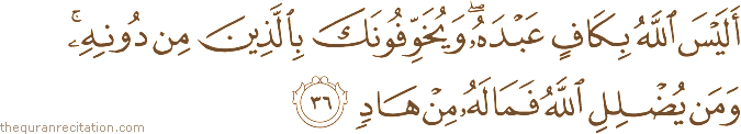 أَلَيْسَ اللَّهُ بِكَافٍ عَبْدَهُ ۖ وَيُخَوِّفُونَكَ بِالَّذِينَ مِنْ دُونِهِ ۚ وَمَنْ يُضْلِلِ اللَّهُ فَمَا لَهُ مِنْ هَادٍ