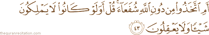 أَمِ اتَّخَذُوا مِنْ دُونِ اللَّهِ شُفَعَاءَ ۚ قُلْ أَوَلَوْ كَانُوا لَا يَمْلِكُونَ شَيْئًا وَلَا يَعْقِلُونَ