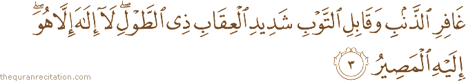 Surah / Chapter 40 : Ayah / Verse 3