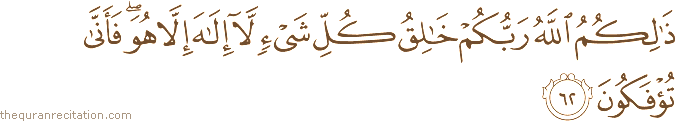 ذَٰلِكُمُ اللَّهُ رَبُّكُمْ خَالِقُ كُلِّ شَيْءٍ لَا إِلَٰهَ إِلَّا هُوَ ۖ فَأَنَّىٰ تُؤْفَكُونَ