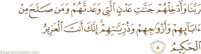 Surah / Chapter 40 : Ayah / Verse 8