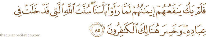 فَلَمْ يَكُ يَنْفَعُهُمْ إِيمَانُهُمْ لَمَّا رَأَوْا بَأْسَنَا ۖ سُنَّتَ اللَّهِ الَّتِي قَدْ خَلَتْ فِي عِبَادِهِ ۖ وَخَسِرَ هُنَالِكَ الْكَافِرُونَ