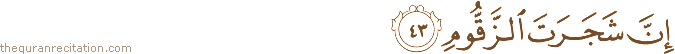 إِنَّ شَجَرَتَ الزَّقُّومِ