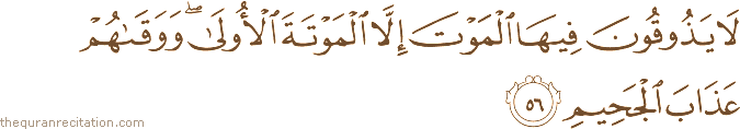 لَا يَذُوقُونَ فِيهَا الْمَوْتَ إِلَّا الْمَوْتَةَ الْأُولَىٰ ۖ وَوَقَاهُمْ عَذَابَ الْجَحِيمِ