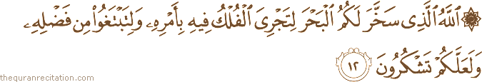 Surah / Chapter 45 : Ayah / Verse 12