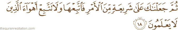 Surah / Chapter 45 : Ayah / Verse 18