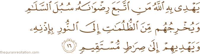 Surah / Chapter 5 : Ayah / Verse 16