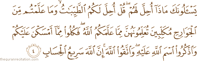 Surah / Chapter 5 : Ayah / Verse 4