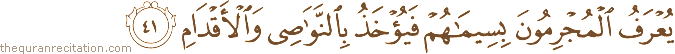 يُعْرَفُ الْمُجْرِمُونَ بِسِيمَاهُمْ فَيُؤْخَذُ بِالنَّوَاصِي وَالْأَقْدَامِ