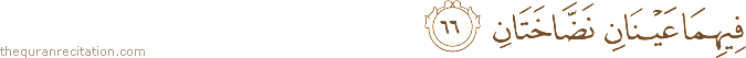 فِيهِمَا عَيْنَانِ نَضَّاخَتَانِ