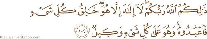 ذَٰلِكُمُ اللَّهُ رَبُّكُمْ ۖ لَا إِلَٰهَ إِلَّا هُوَ ۖ خَالِقُ كُلِّ شَيْءٍ فَاعْبُدُوهُ ۚ وَهُوَ عَلَىٰ كُلِّ شَيْءٍ وَكِيلٌ