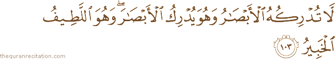 لَا تُدْرِكُهُ الْأَبْصَارُ وَهُوَ يُدْرِكُ الْأَبْصَارَ ۖ وَهُوَ اللَّطِيفُ الْخَبِيرُ
