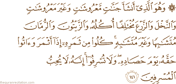 وَهُوَ الَّذِي أَنْشَأَ جَنَّاتٍ مَعْرُوشَاتٍ وَغَيْرَ مَعْرُوشَاتٍ وَالنَّخْلَ وَالزَّرْعَ مُخْتَلِفًا أُكُلُهُ وَالزَّيْتُونَ وَالرُّمَّانَ مُتَشَابِهًا وَغَيْرَ مُتَشَابِهٍ ۚ كُلُوا مِنْ ثَمَرِهِ إِذَا أَثْمَرَ وَآتُوا حَقَّهُ يَوْمَ حَصَادِهِ ۖ وَلَا تُسْرِفُوا ۚ إِنَّهُ لَا يُحِبُّ الْمُسْرِفِينَ