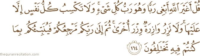 قُلْ أَغَيْرَ اللَّهِ أَبْغِي رَبًّا وَهُوَ رَبُّ كُلِّ شَيْءٍ ۚ وَلَا تَكْسِبُ كُلُّ نَفْسٍ إِلَّا عَلَيْهَا ۚ وَلَا تَزِرُ وَازِرَةٌ وِزْرَ أُخْرَىٰ ۚ ثُمَّ إِلَىٰ رَبِّكُمْ مَرْجِعُكُمْ فَيُنَبِّئُكُمْ بِمَا كُنْتُمْ فِيهِ تَخْتَلِفُونَ