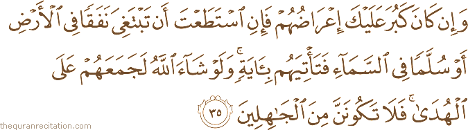 وَإِنْ كَانَ كَبُرَ عَلَيْكَ إِعْرَاضُهُمْ فَإِنِ اسْتَطَعْتَ أَنْ تَبْتَغِيَ نَفَقًا فِي الْأَرْضِ أَوْ سُلَّمًا فِي السَّمَاءِ فَتَأْتِيَهُمْ بِآيَةٍ ۚ وَلَوْ شَاءَ اللَّهُ لَجَمَعَهُمْ عَلَى الْهُدَىٰ ۚ فَلَا تَكُونَنَّ مِنَ الْجَاهِلِينَ