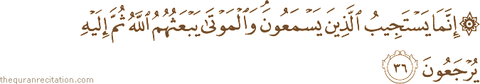 إِنَّمَا يَسْتَجِيبُ الَّذِينَ يَسْمَعُونَ ۘ وَالْمَوْتَىٰ يَبْعَثُهُمُ اللَّهُ ثُمَّ إِلَيْهِ يُرْجَعُونَ