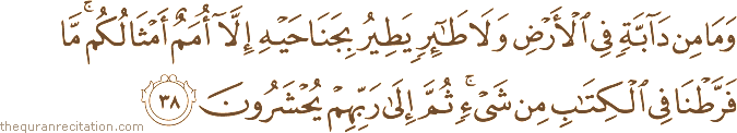 وَمَا مِنْ دَابَّةٍ فِي الْأَرْضِ وَلَا طَائِرٍ يَطِيرُ بِجَنَاحَيْهِ إِلَّا أُمَمٌ أَمْثَالُكُمْ ۚ مَا فَرَّطْنَا فِي الْكِتَابِ مِنْ شَيْءٍ ۚ ثُمَّ إِلَىٰ رَبِّهِمْ يُحْشَرُونَ