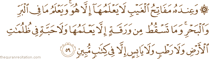 وَعِنْدَهُ مَفَاتِحُ الْغَيْبِ لَا يَعْلَمُهَا إِلَّا هُوَ ۚ وَيَعْلَمُ مَا فِي الْبَرِّ وَالْبَحْرِ ۚ وَمَا تَسْقُطُ مِنْ وَرَقَةٍ إِلَّا يَعْلَمُهَا وَلَا حَبَّةٍ فِي ظُلُمَاتِ الْأَرْضِ وَلَا رَطْبٍ وَلَا يَابِسٍ إِلَّا فِي كِتَابٍ مُبِينٍ
