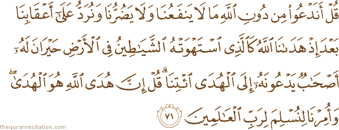قُلْ أَنَدْعُو مِنْ دُونِ اللَّهِ مَا لَا يَنْفَعُنَا وَلَا يَضُرُّنَا وَنُرَدُّ عَلَىٰ أَعْقَابِنَا بَعْدَ إِذْ هَدَانَا اللَّهُ كَالَّذِي اسْتَهْوَتْهُ الشَّيَاطِينُ فِي الْأَرْضِ حَيْرَانَ لَهُ أَصْحَابٌ يَدْعُونَهُ إِلَى الْهُدَى ائْتِنَا ۗ قُلْ إِنَّ هُدَى اللَّهِ هُوَ الْهُدَىٰ ۖ وَأُمِرْنَا لِنُسْلِمَ لِرَبِّ الْعَالَمِينَ
