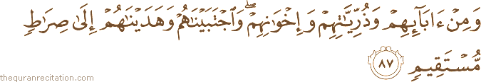 وَمِنْ آبَائِهِمْ وَذُرِّيَّاتِهِمْ وَإِخْوَانِهِمْ ۖ وَاجْتَبَيْنَاهُمْ وَهَدَيْنَاهُمْ إِلَىٰ صِرَاطٍ مُسْتَقِيمٍ