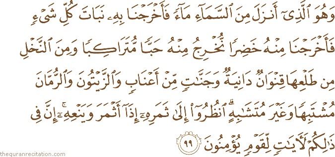 وَهُوَ الَّذِي أَنْزَلَ مِنَ السَّمَاءِ مَاءً فَأَخْرَجْنَا بِهِ نَبَاتَ كُلِّ شَيْءٍ فَأَخْرَجْنَا مِنْهُ خَضِرًا نُخْرِجُ مِنْهُ حَبًّا مُتَرَاكِبًا وَمِنَ النَّخْلِ مِنْ طَلْعِهَا قِنْوَانٌ دَانِيَةٌ وَجَنَّاتٍ مِنْ أَعْنَابٍ وَالزَّيْتُونَ وَالرُّمَّانَ مُشْتَبِهًا وَغَيْرَ مُتَشَابِهٍ ۗ انْظُرُوا إِلَىٰ ثَمَرِهِ إِذَا أَثْمَرَ وَيَنْعِهِ ۚ إِنَّ فِي ذَٰلِكُمْ لَآيَاتٍ لِقَوْمٍ يُؤْمِنُونَ