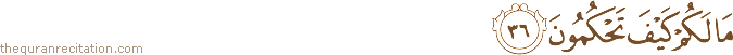 مَا لَكُمْ كَيْفَ تَحْكُمُونَ