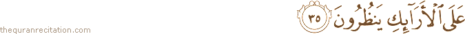 عَلَى الْأَرَائِكِ يَنْظُرُونَ