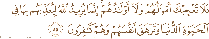فَلَا تُعْجِبْكَ أَمْوَالُهُمْ وَلَا أَوْلَادُهُمْ ۚ إِنَّمَا يُرِيدُ اللَّهُ لِيُعَذِّبَهُمْ بِهَا فِي الْحَيَاةِ الدُّنْيَا وَتَزْهَقَ أَنْفُسُهُمْ وَهُمْ كَافِرُونَ